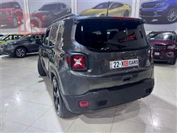 جيب رينيجيد